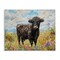 Stupell Industries Belted Galloway in Meadow Canvas By Franklyn Gregory